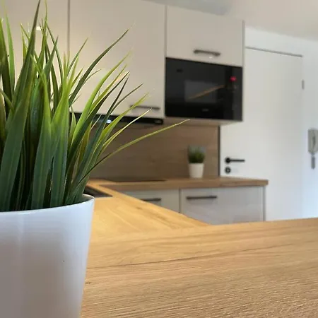 Stylische Südsternchen